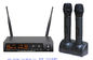 LS-670S Pro Dual wireless microphone system UHF fixed frequency LCD digital display 2MICS supplier